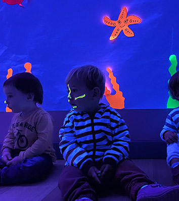 compañia maria bergara